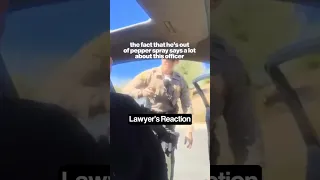 He Was Pepper Sprayed During a Routine Speeding Stop!! 🚓⚖️ #shorts