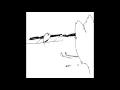 Steinhoff \u0026 Hammouda - Tonight Will Be Fine