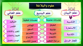علوم البلاغة - سلسلة تعلم البلاغة 2 #اكسبلور #تعلم_العربية #البلاغة_العربية #فنون_العربية