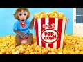 Download Lagu Monkey Baby Bon Bon goes supermarket buy rainbow popcorn and bathed with the duckling in the bathtub