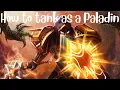 How to tank as a low level Paladin in WOTLK