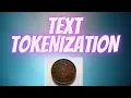 Natural Language Processing 3 Text Pre-processing Tokenization