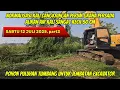 Download Lagu DAY1 PERUM GRAHA PERSADA!! EXCAVATOR BABAT HABIS POHON JATI BANTARAN KALI CANGKRINGAN #dedimulyadi