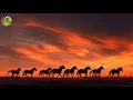 Download Lagu Сборник ЛУЧШИХ Мелодий от которых мурашки по телу! Музыка лечит сердце, расслабляет, музыка для души