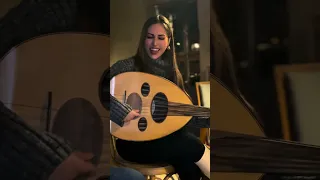 هذه ليلتي وحلم حياتي   سيندي لطي  دندنها