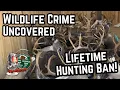Wildlife Crime Uncovered 50 Deer Poached Lifetime Hunting Ban