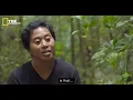 Birds Paradise Projects | Papua New Guinea | The Geographic .