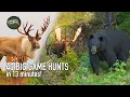 Download Lagu 40 Canadian Hunts in 13 Minutes! (BEST OF HUNTING Compilation)