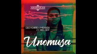 ceeychris u0026 mshudu feat melody unomusa
