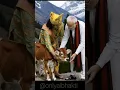 Download Lagu Meri gadi mera bangla mera paisa sab tero savanriya seth #shorts #bhaktistatus #onlyaibhakti #modi