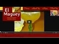 El Maguey