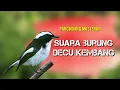 Download Lagu kicau burung decu kembang buat masteran burung bahan