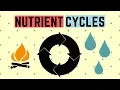 IGCSE BIOLOGY REVISION Syllabus 20 - Nutrient Cycles