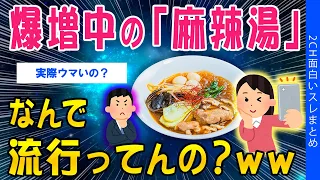 【2ch考えさせられるスレ】爆増中「麻辣湯」…なんで流行ってんの？ww【ゆっくり解説】