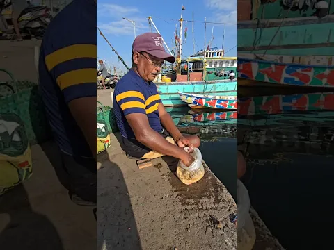 Expert Old Man Fishing in Handline #fishing #fishingvideos #thoondilulagan #seafishing