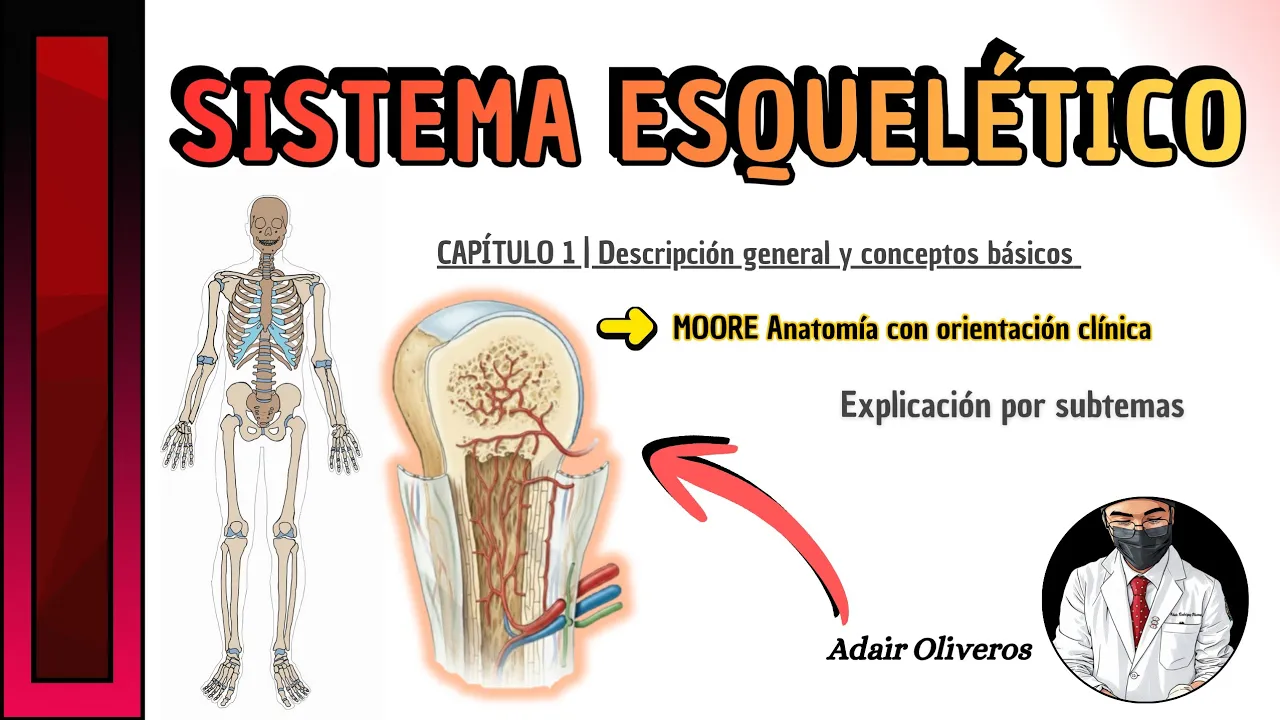 SISTEMA ESQUELÉTICO | MOORE Anatomía con orientación clínica #anatomia #mooreanatomía #medstudent