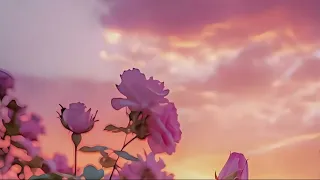 أغنية كرديه مشهوره  ياوردتي  دندنها