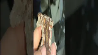 سقف خطير جدا علي اصحابه ممكن يسبب كارثه Shorts طريقة معالجة الشروخ الجدار 