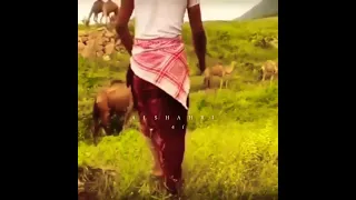 الشاب محمد الشحري  والقفزه الإحترافية مع الإبل دندنها