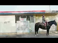 Mexico Honey - Kacey Musgraves