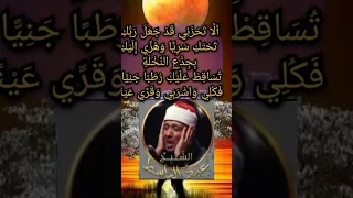 وهزى إليك بجذع النخلة تساقط عليكى رطبا جنيا  روائع التلاوات  عبد الباسط عبد الصمد دندنها