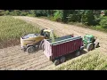 Chopping Corn Silage near Columbiana Ohio