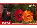 Download Lagu CBeebies: The Furchester Hotel - Time To Bloom Song
