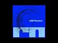 Download Lagu ring noord - Wild Flowers
