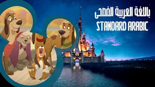 نحن في انسجام الثعلب والكلب 2  نحن في انسجام الثعلب والكلب 2