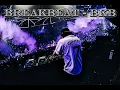 Download Lagu YALLA HABIBI WHISNU SANTIKA - BREAKBEAT | BKB 