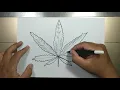 How to draw POT LEAF easy step by step in 5 minutes