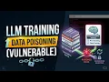 LAB 12 Training Data Poisoning Attack Walkthrough LLM ML Security