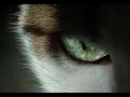 Moby ft. Mylene Farmer - Slipping Away (Crier La Vie) (MHC Extended Mix)