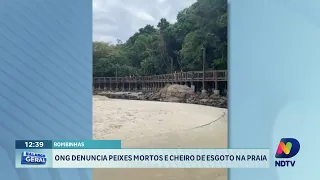 ONG denuncia peixes mortos e esgoto em Bombinhas