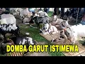 Download Lagu LIVE ! KONTES DOMBA GARUT SAWALA MAJALENGKA