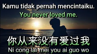  cover ni cong lai mei you ai guo wo