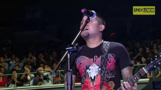 Kamikazee - Narda (Live at the Smart Araneta Colisseum - Dec 2015)