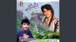 الف مبروك دندنها