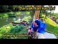 Download Lagu Memancing Dengan Budak Kondo #gengdunia
