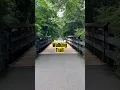 Best Hiking Trails In Connecticut Cheshire CT walking trail