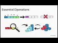 Python Data Structures