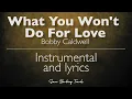 What You Won't Do For Love -  Bobby Caldwell (Acoustic Karaoke)