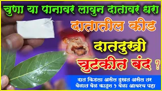 50 पैशाचा चुना असा वापरा दात दुखी दातातील कीड चुकीत बंद?आयुर्वेदातील अतिशय परिणामकारक उपाय teethpain