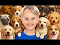 Lagu Kids Take Care of Animals at the Shelter - funny stories for kids