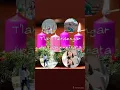 Download Lagu Lagu Natal Mitha Talahatu Natal Telah Tiba