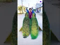 Download Lagu peacock drawing #peacock #shorts #song #bollywood #hindisong