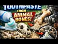 HOW TOOTHPASTE IS MADE FROM ANIMAL BONES