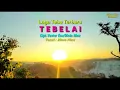 Download Lagu TEBELAI Rinto Nine Lagu Tebe Terbaru