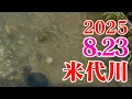 Download Lagu 米代川で鮎釣り 2025.8.23 鹿角地区の午前の様子