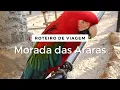 Download Lagu Passeio pela Morada das Araras e Recinto das Emas no Zoo das Aves | Roteiro de Viagem no Brasil